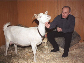 Путин и коза. Фото с сайта www.blackbox.o-w.ru