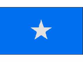 Флаг сомалийских пиратов. Изображение: alex-dars.livejournal.com