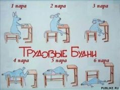 Трудовые будни. Фото: publike.ru