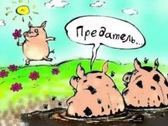 "Предатель". Картинка: animalsfoto.com